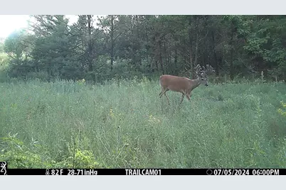 342 Dyke Avenue, Grand Marsh, WI 53936 - Photo 2