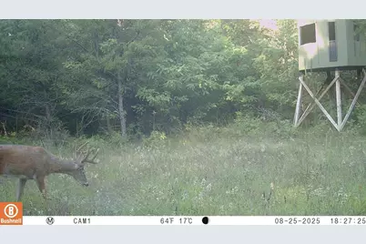 342 Dyke Avenue, Grand Marsh, WI 53936 - Photo 78