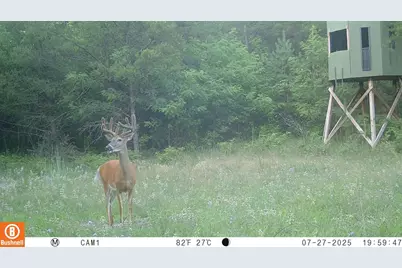 342 Dyke Avenue, Grand Marsh, WI 53936 - Photo 76