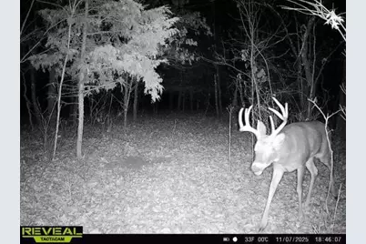 342 Dyke Avenue, Grand Marsh, WI 53936 - Photo 84