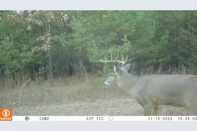 342 Dyke Avenue, Grand Marsh, WI 53936 - Photo 66