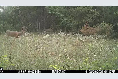 342 Dyke Avenue, Grand Marsh, WI 53936 - Photo 56