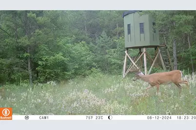 342 Dyke Avenue, Grand Marsh, WI 53936 - Photo 52