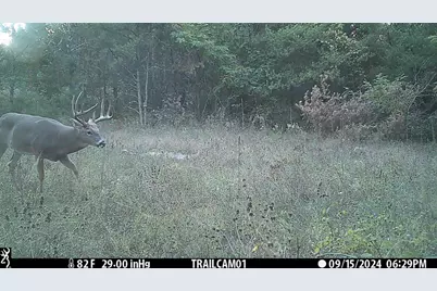 342 Dyke Avenue, Grand Marsh, WI 53936 - Photo 4