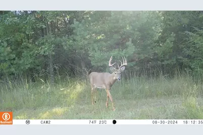 342 Dyke Avenue, Grand Marsh, WI 53936 - Photo 60