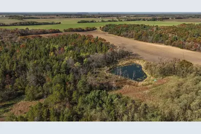 342 Dyke Avenue, Grand Marsh, WI 53936 - Photo 26