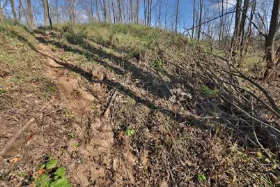 342 Dyke Avenue, Grand Marsh, WI 53936 - Photo 40