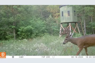 342 Dyke Avenue, Grand Marsh, WI 53936 - Photo 1