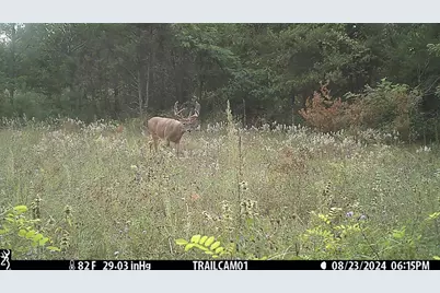 342 Dyke Avenue, Grand Marsh, WI 53936 - Photo 58