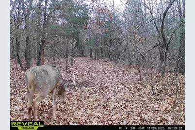 342 Dyke Avenue, Grand Marsh, WI 53936 - Photo 86