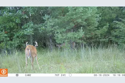 342 Dyke Avenue, Grand Marsh, WI 53936 - Photo 62