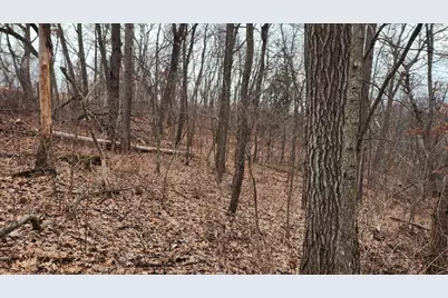 0000 Vineyard Road, Prairie Du Chien, WI 53821 - Photo 22