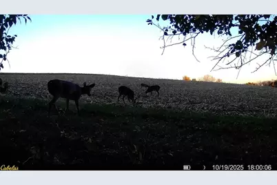 0000 Vineyard Road, Prairie Du Chien, WI 53821 - Photo 42