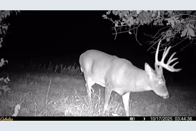 0000 Vineyard Road, Prairie Du Chien, WI 53821 - Photo 46