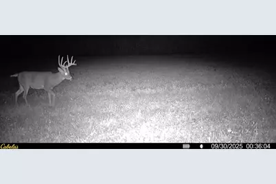 0000 Vineyard Road, Prairie Du Chien, WI 53821 - Photo 32