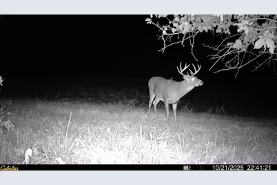 0000 Vineyard Road, Prairie Du Chien, WI 53821 - Photo 36