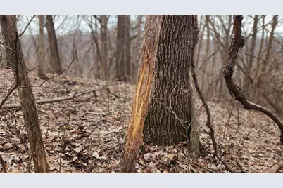 0000 Vineyard Road, Prairie Du Chien, WI 53821 - Photo 20