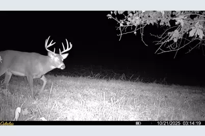 0000 Vineyard Road, Prairie Du Chien, WI 53821 - Photo 40