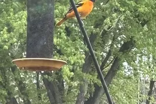 219 James St, Portage, WI 53901 - Photo 8