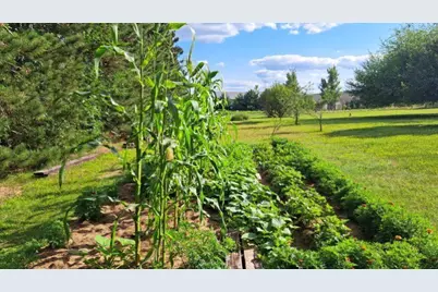 E11616 N Reedsburg Road, Baraboo, WI 53913 - Photo 68