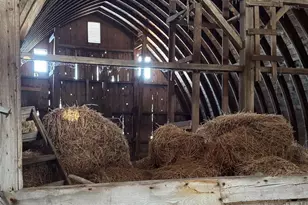 W12881 Sheldon Rd, Brandon, WI 53919 - Photo 62