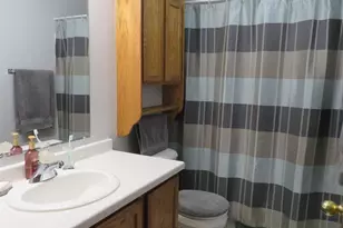 5342 Tree Ridge Trail, Madison, WI 53718 - Photo 14