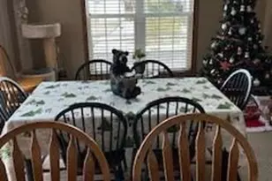 5342 Tree Ridge Trail, Madison, WI 53718 - Photo 10