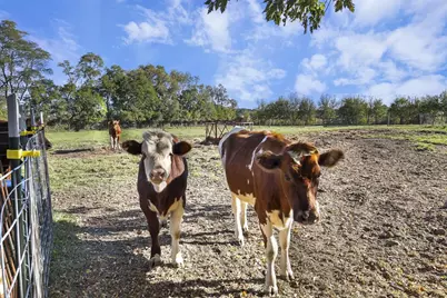 10819 N Highway 14, Brooklyn, WI 53521 - Photo 48