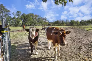 10819 N Hwy 14, Brooklyn, WI 53521 - Photo 48