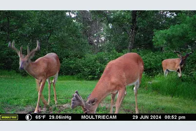 W4703 28th Street, Necedah, WI 54646 - Photo 90