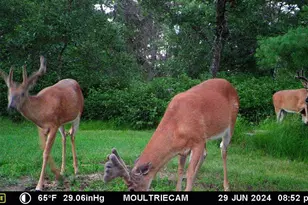 W4703 28th St, Necedah, WI 54646 - Photo 90