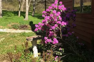 S6307 Yum Yum Hill Rd, Merrimac, WI 53561 - Photo 62