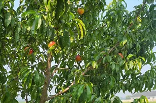 547 S 6th St, Janesville, WI 53536 - Photo 8