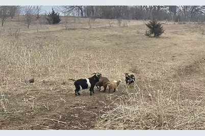 13405 W State Road 81, Brodhead, WI 53520 - Photo 10