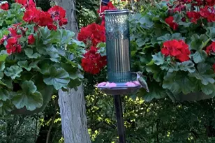 3341 N Chaucer Ct, Janesville, WI 53545 - Photo 76