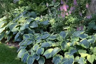 3341 N Chaucer Ct, Janesville, WI 53545 - Photo 72