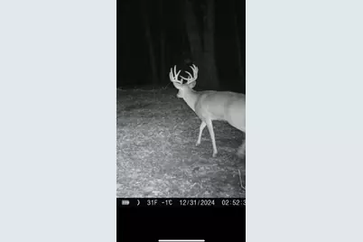 14177 Irish Ridge Road, Mount Hope,  53816 - Photo 50