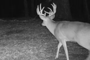 14177 Irish Ridge Rd, Mount Hope,  53816 - Photo 50