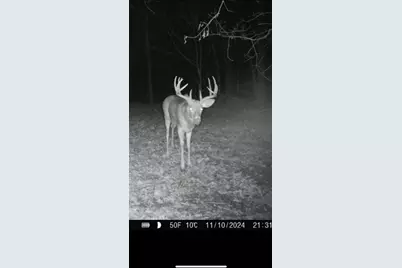 14177 Irish Ridge Road, Mount Hope,  53816 - Photo 56