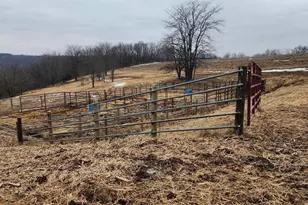 14177 Irish Ridge Rd, Mount Hope,  53816 - Photo 46