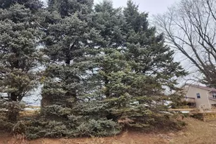 14177 Irish Ridge Rd, Mount Hope,  53816 - Photo 28