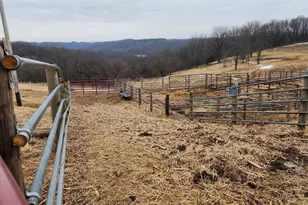 14177 Irish Ridge Rd, Mount Hope,  53816 - Photo 54