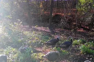 14177 Irish Ridge Rd, Mount Hope,  53816 - Photo 48