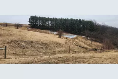 14177 Irish Ridge Road, Mount Hope,  53816 - Photo 34