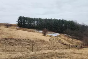 14177 Irish Ridge Rd, Mount Hope,  53816 - Photo 34