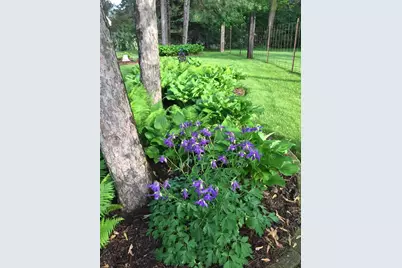 414 Woodview Drive, Sun Prairie, WI 53590 - Photo 66