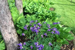 414 Woodview Dr, Sun Prairie, WI 53590 - Photo 64