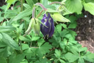 414 Woodview Dr, Sun Prairie, WI 53590 - Photo 70