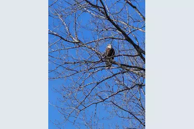 W11322 Red Cedar Drive, Lodi, WI 53555 - Photo 62