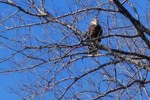 W11322 Red Cedar Dr, Lodi, WI 53555 - Photo 62